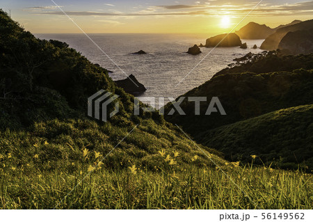 （静岡県）ユウスゲ咲く、奥石廊崎の落日 56149562