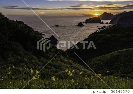 (静岡県)ユウスゲ咲く、奥石廊崎の落日 (静岡県)ユウスゲ咲く、奥石廊崎の落日 56149570