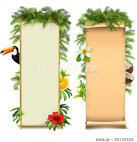 Vector Tropical Boards 56150320
