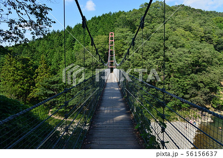 多良峡森林公園吊り橋 56156637