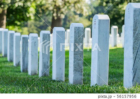 Grave stones in Arlington cemetery. 56157956