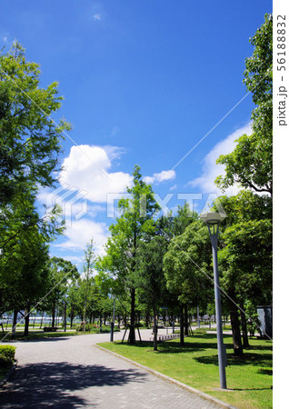 台場駅と青海駅の近くのプロムナード 56188832