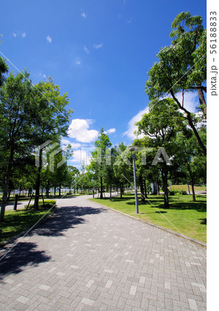 台場駅と青海駅の近くのプロムナード 56188833