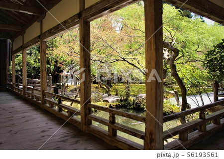常照皇寺の庭園紅葉 常照皇寺の庭園紅葉 56193561