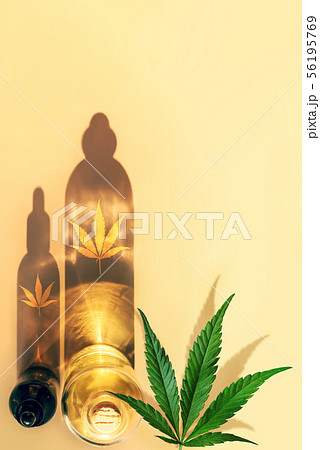 CBD oil bottles on light background. Top View. Composition, minimalism concept CBD oil bottles on light background. Top View. Composition, minimalism concept 56195769