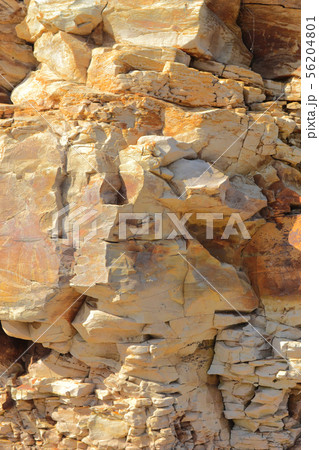 海岸岩背景縦黄土色 56204801