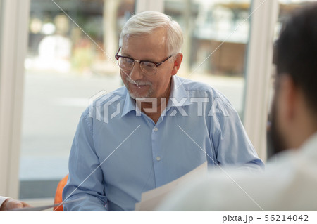 Attentive grey-haired male person looking at documents 56214042