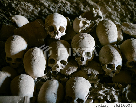 Skull and bones 56216009