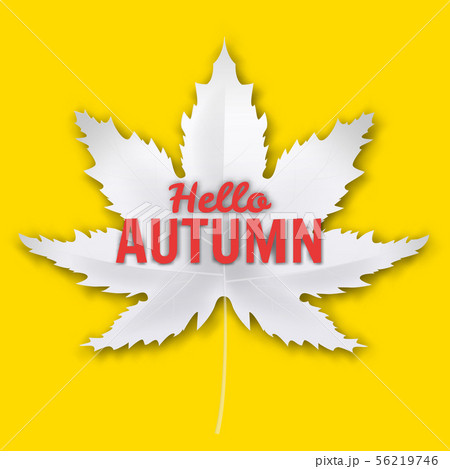 Hello Autumn fall leaf white monochrome. Autumn maple leaf isolated. Vector illustration 56219746