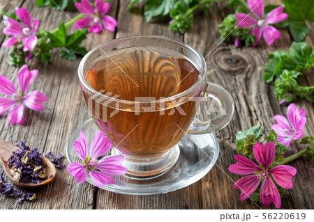 A cup of mallow tea with fresh malva sylvestris A cup of mallow tea with fresh malva sylvestris 56220619