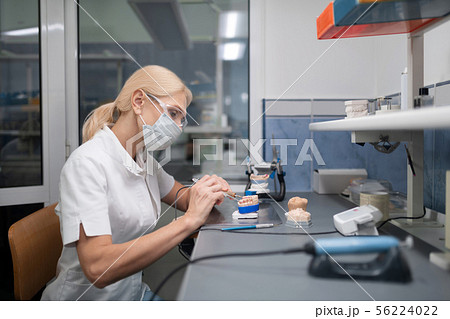 Dental technician constructing porcelain veneers for the patient. 56224022