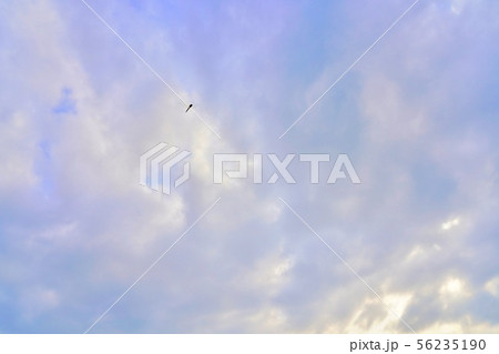 青空とトンボ 56235190