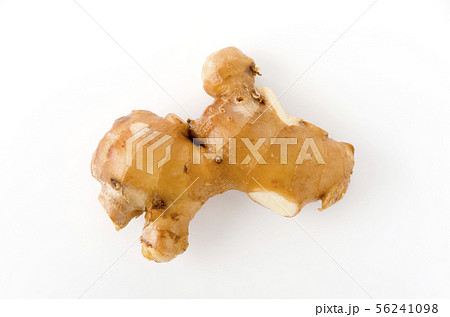 生姜 生姜 56241098