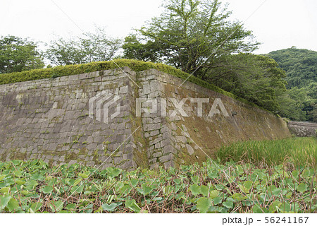 鹿児島城跡 石垣 鹿児島城跡 石垣 56241167
