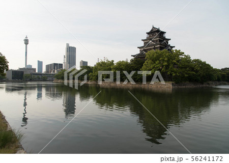 濠に写る天守閣 広島城 濠に写る天守閣 広島城 56241172