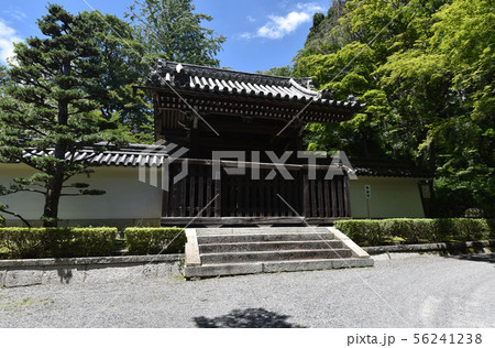西教寺 勅使門 西教寺 勅使門 56241238