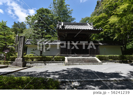 西教寺 勅使門 西教寺 勅使門 56241239
