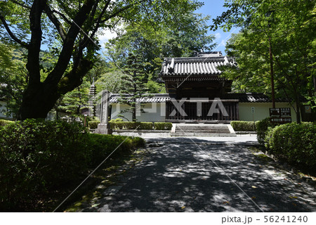 西教寺 勅使門 西教寺 勅使門 56241240