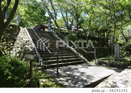 西教寺 宗祖大師殿入り口 西教寺 宗祖大師殿入り口 56241242