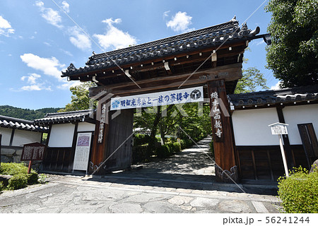 西教寺 総門 西教寺 総門 56241244