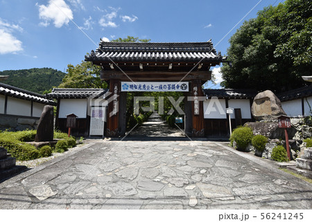 西教寺 総門 西教寺 総門 56241245