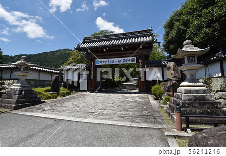 西教寺　総門 56241246