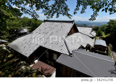 西教寺から琵琶湖を望む 西教寺から琵琶湖を望む 56241256