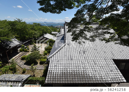 西教寺から琵琶湖を望む 西教寺から琵琶湖を望む 56241258