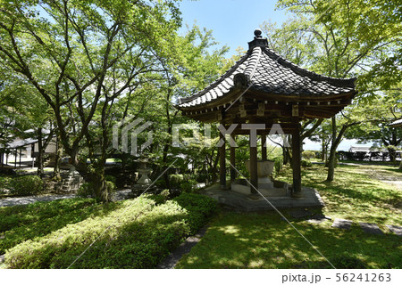 西教寺 手水舎 西教寺 手水舎 56241263