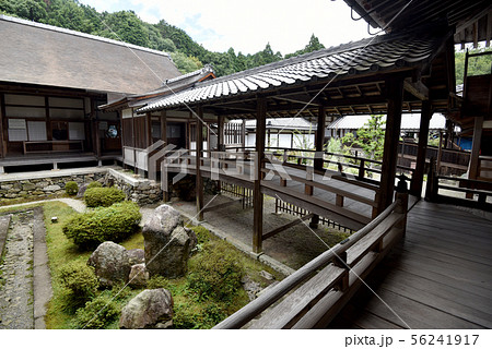 西教寺　庭園と回廊 56241917