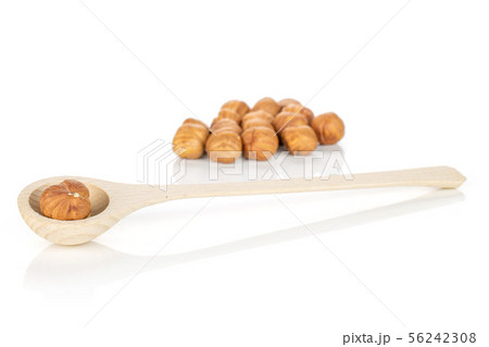 Ripe brown hazelnut isolated on white Ripe brown hazelnut isolated on white 56242308