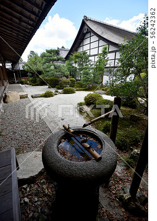 西教寺 書院庭園 西教寺 書院庭園 56242362
