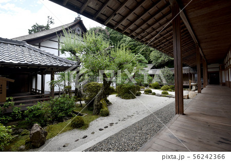西教寺　書院庭園 56242366