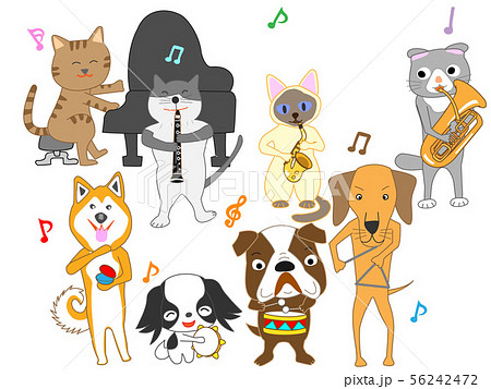 犬と猫のコンサート 犬と猫のコンサート 56242472