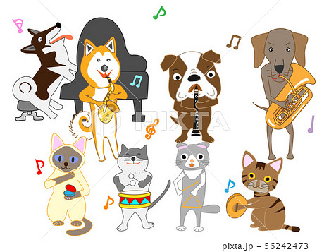 犬と猫のコンサート 犬と猫のコンサート 56242473