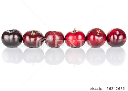 Ripe red plum isolated on white 56242676