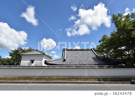 西教寺　塔頭安養院 56243478