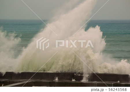 台風 56243568