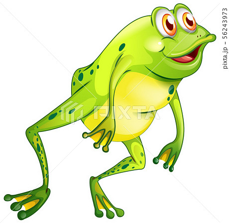 Green Frog On White Backgroundのイラスト素材