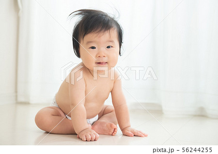 赤ちゃん　裸　オムツ　男の子　乳児　おすわり　 56244255