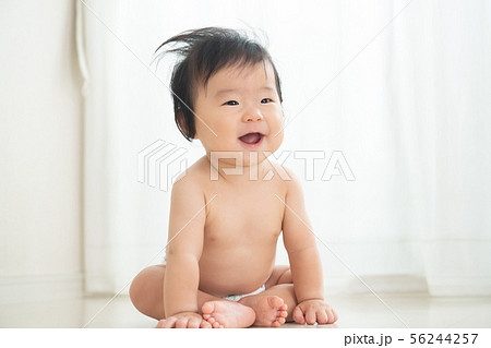 赤ちゃん　裸　オムツ　男の子　乳児　おすわり　 56244257