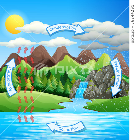 How TO Draw water cycle step by step easy(speed) - YouTube-cacanhphuclong.com.vn