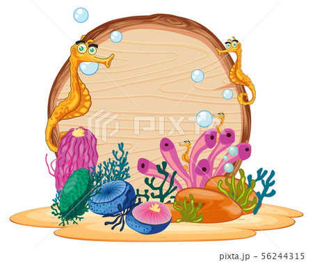 Seahorse and coral with wood frame Seahorse and coral with wood frame 56244315
