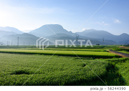 田園風景 56244390