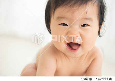 赤ちゃん 裸 男の子 乳児 0歳 0歳児 赤ちゃん 裸 男の子 乳児 0歳 0歳児 56244436