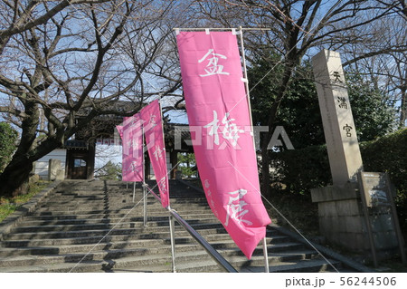 道明寺天満宮 道明寺天満宮 56244506