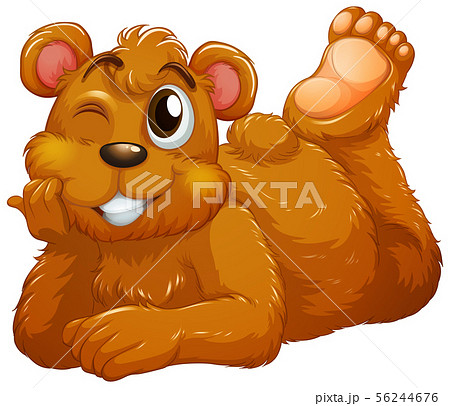 Cute bear on white background Cute bear on white background 56244676