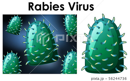 Close up isolated object of virus named Rabies 56244736