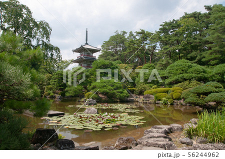 輪王寺　庭園 56244962