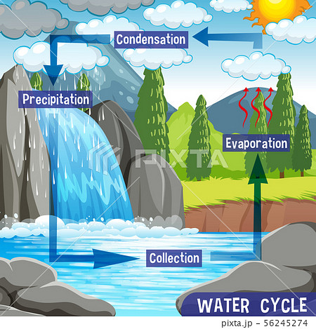 Water cycle process on Earth - Scientific 56245274